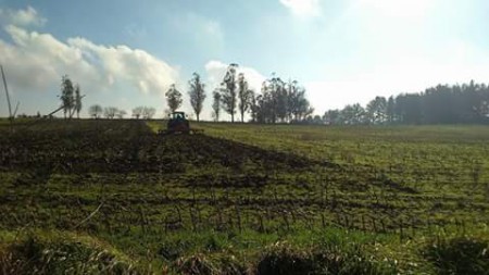 Traballando polo DESENVOLVEMENTO LOCAL