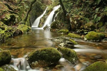 Abrindo camiños cara o FUTURO
